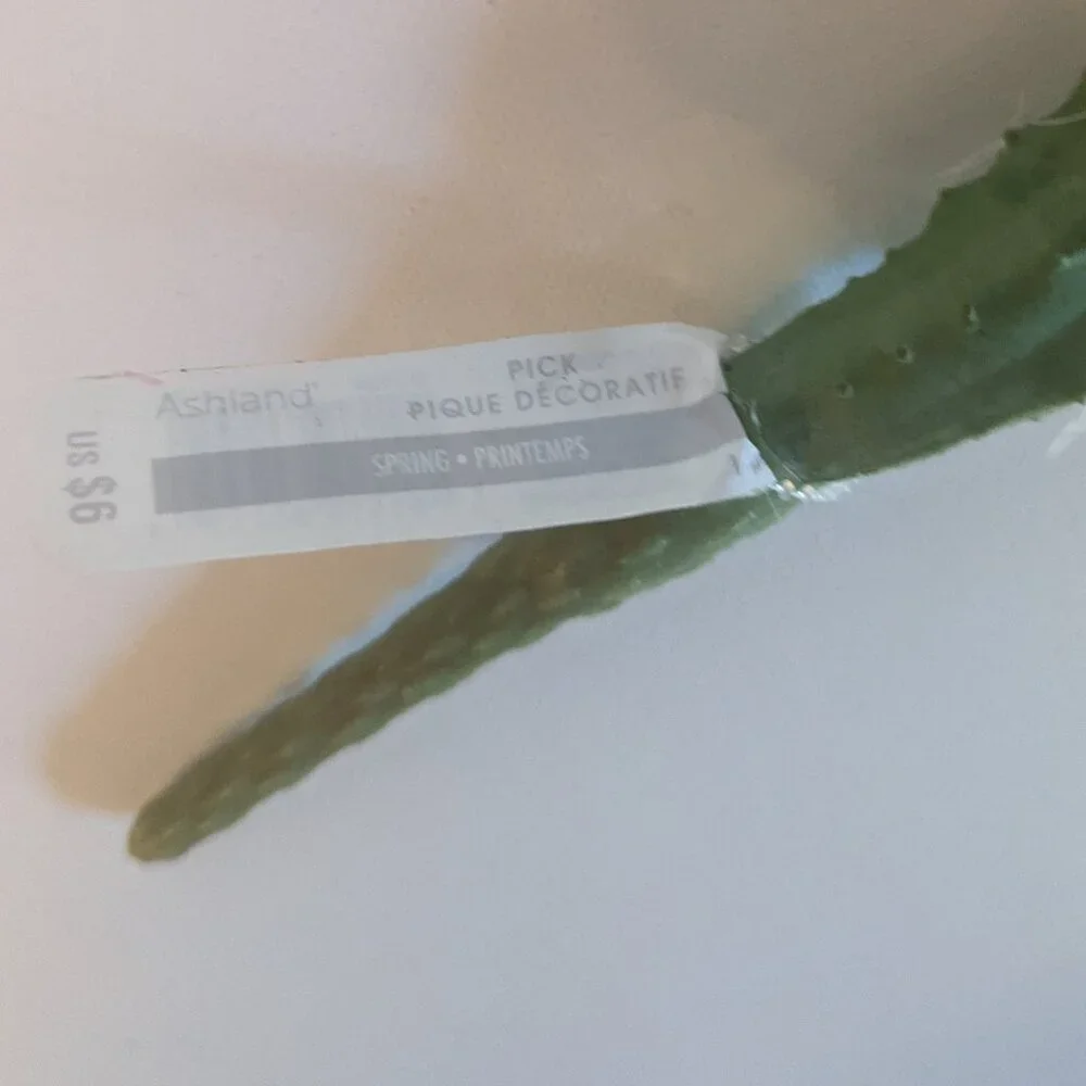 NWT Ashland 2 Spiky Mini Desert Cactus Flower Stems Faux Floral Decor Michaels